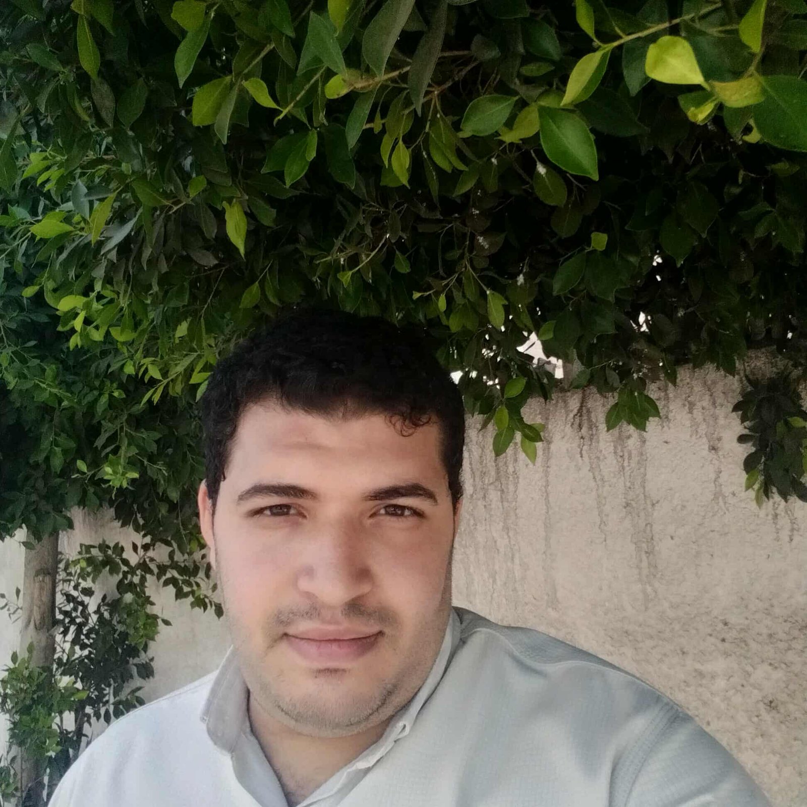 علاء محمد الزرقا ذهني 